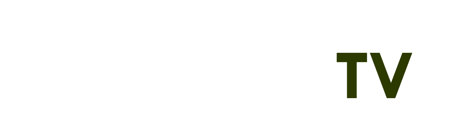 váy công chúa